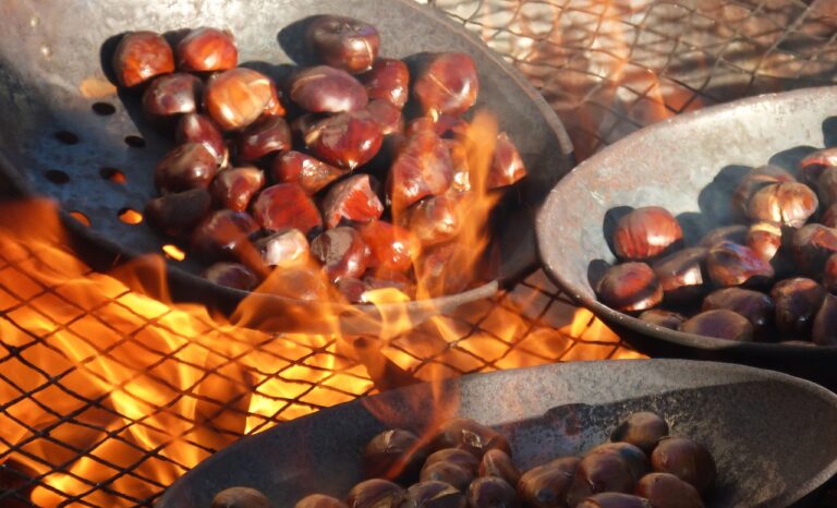 chestnuts-1783878 1280